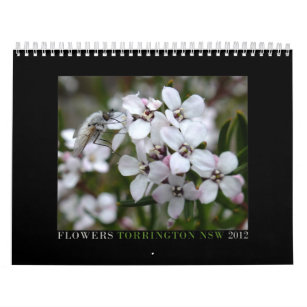 Australiensiska vildblommar kalender