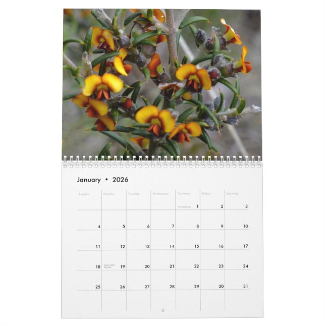 Australiensiska vildblommar kalender (Jan 2026)