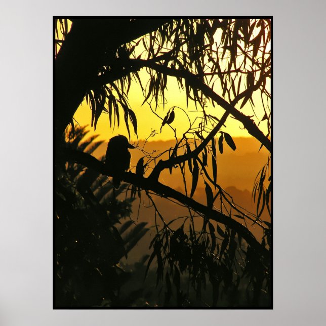 Australiensiska vintersolstånd solnedgångsaffisch poster (Framsidan)