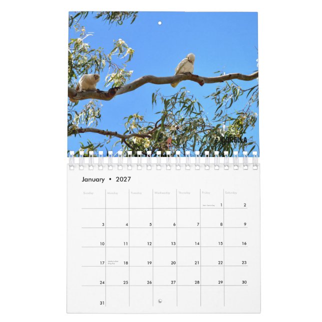 AUSTRALIENSISKT DJURLIV KALENDER (Jan 2027)