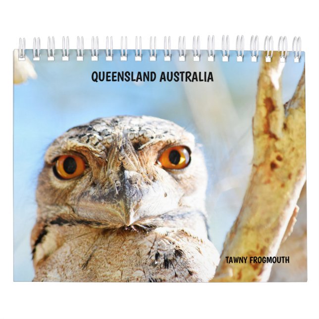 AUSTRALIENSISKT DJURLIV KALENDER (Omslag)