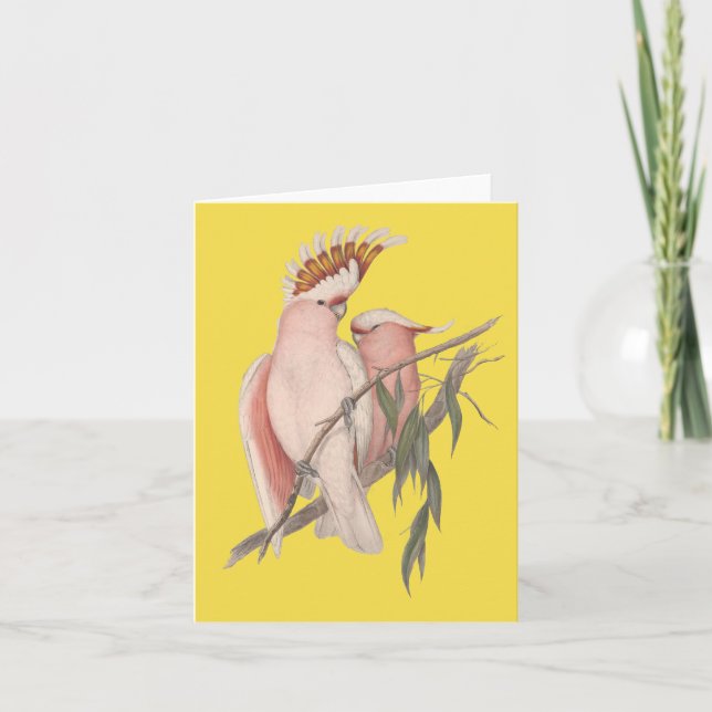 Australiensiskt Galah kort John Gould (Framsida)