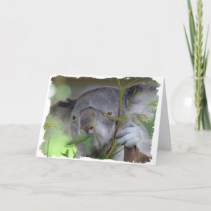 Australiensiskt Koalahälsningkort Kort