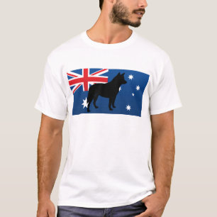 australiensiskt nötkreatur förföljer den tröja
