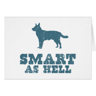 Australiensiskt nötkreatur förföljer hälsningskort