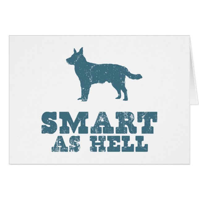 Australiensiskt nötkreatur förföljer hälsningskort (Framsidan Horizontal)