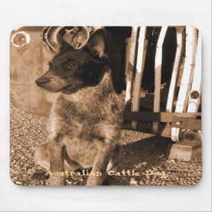 Australiensiskt nötkreatur förföljer Mousepad # Musmatta