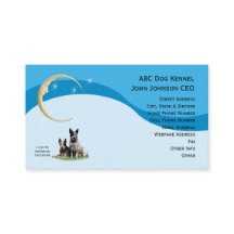 Australiensiskt nötkreatur förföljer w-/Goldmånen,