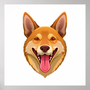 Australienska vildhunden dingo huvud poster