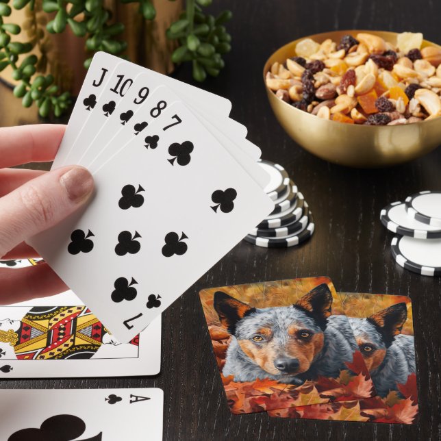 Australienskt nötkreatur på höstlöv fall inspirera casinokort (På plats)