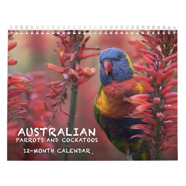 Australierpapegoja- & kakaduakalender - 3 kalender (Omslag)