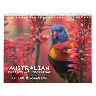 Australierpapegoja- & kakaduakalender - 3 kalender