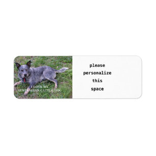 Australisk boskap hund kärlek w pic returadress etikett