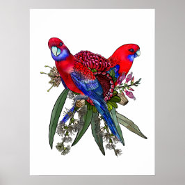 Australisk Crimson Rosella och vildblomsbukett Poster