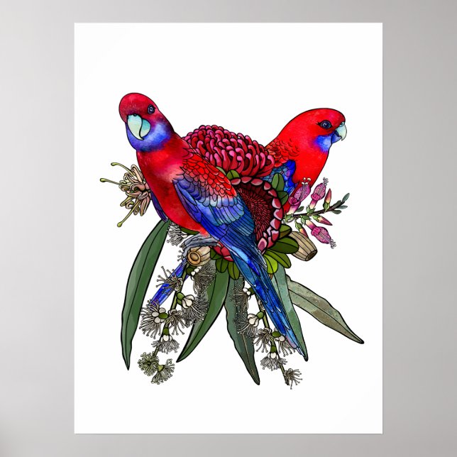 Australisk Crimson Rosella och vildblomsbukett Poster (Framsidan)