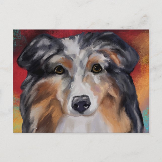 AUSTRALISK FÅRHUND    VYKORT (Framsida)