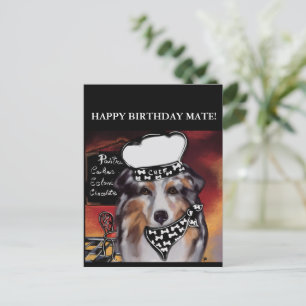 AUSTRALISK FÅRHUND  VYKORT