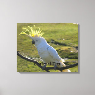 Australisk Gult Sulfur Crested Cockatoo Canvastryck