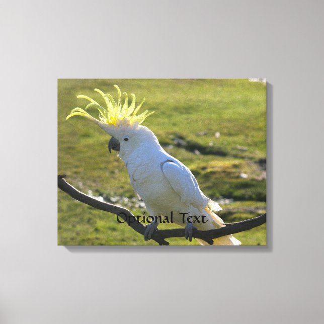 Australisk Gult Sulfur Crested Cockatoo Canvastryck (Framsida)