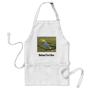 Australisk Gult Sulfur Crested Cockatoo Förkläde