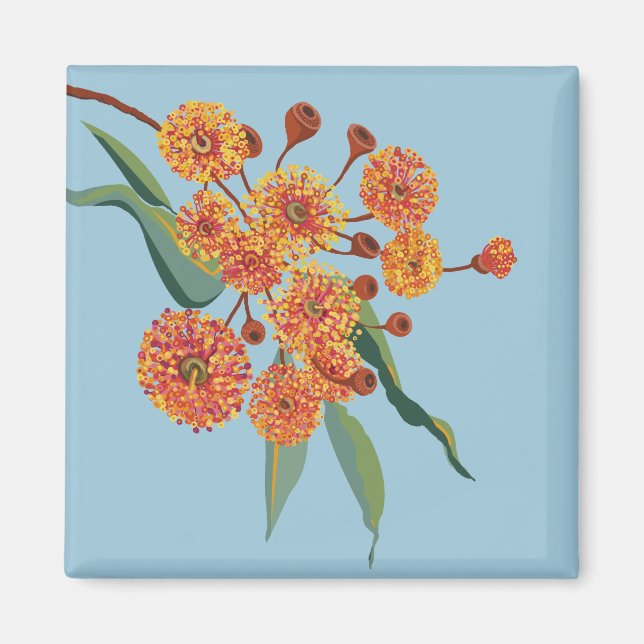 Australisk gum träd blommar magnet (Framsidan)