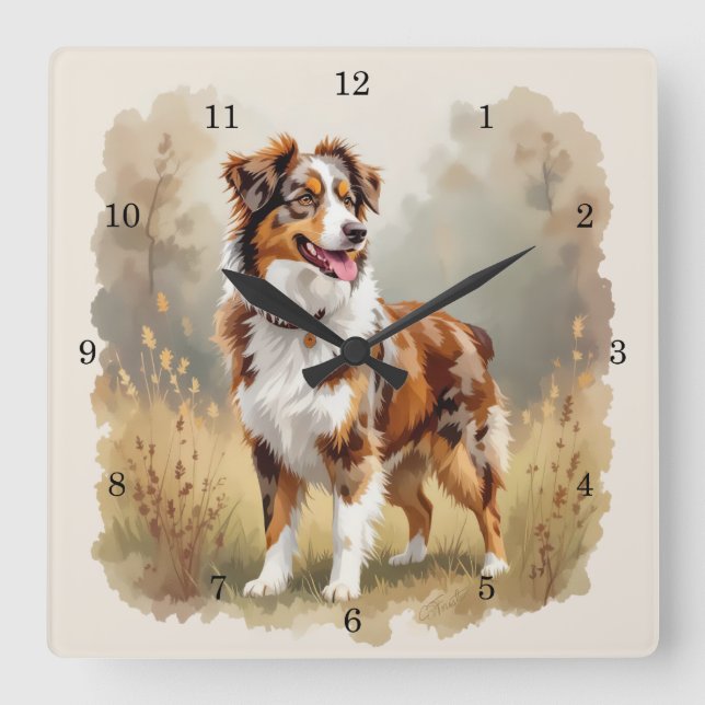 Australisk herdehund röd merle aussie fyrkantig klocka (Framsida)