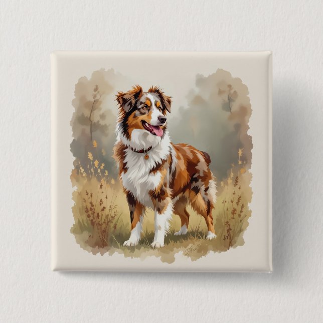 Australisk herdehund röd merle aussie knapp (Framsida)