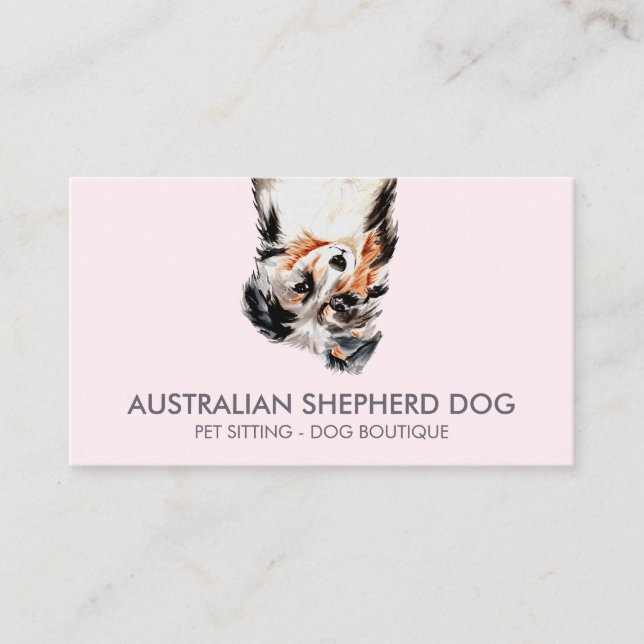 Australisk herdehund visitkort (Framsida)
