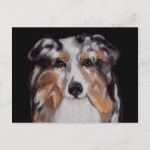 AUSTRALISK HERDEHUND VYKORT