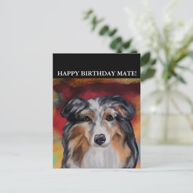 AUSTRALISK HERDEHUND  VYKORT (Stående Fram)