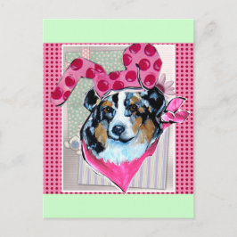 AUSTRALISK HERDEHUND VYKORT