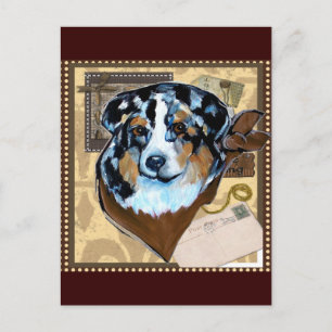 AUSTRALISK HERDEHUND VYKORT