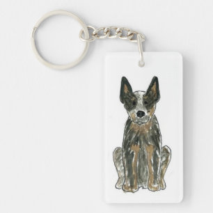 Australisk Hund Blue Heeler ACD