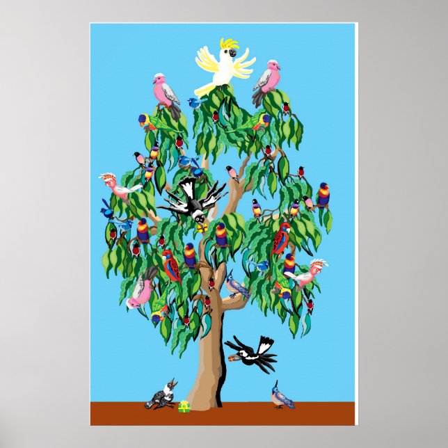 australisk julgran poster (Framsidan)