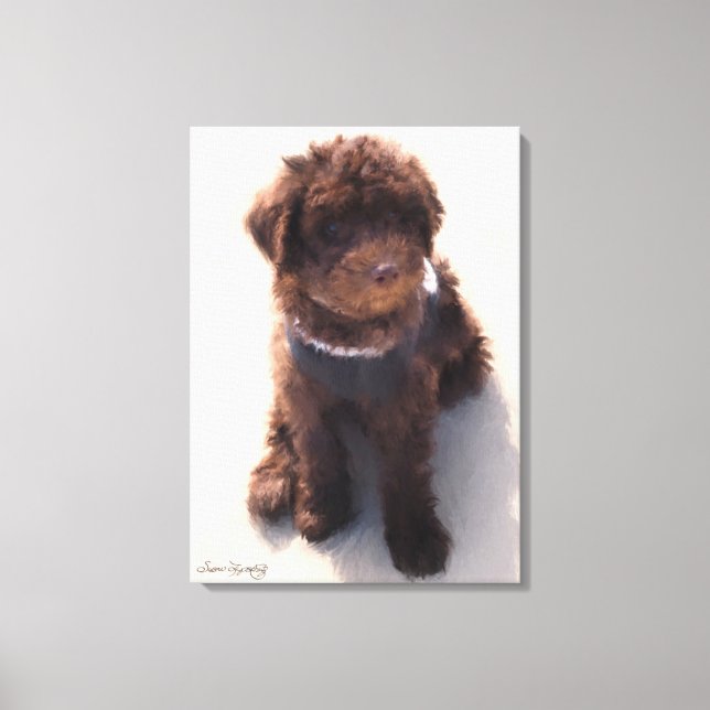 AUSTRALISK LABRADOODLE PUPPY CANVASTRYCK (Framsida)