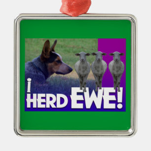 AUSTRALISK NÖTKREATUR HUND I HERD EWE JULGRANSPRYDNAD METALL