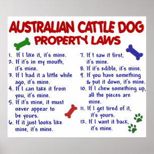 AUSTRALISK NÖTKREATUR HUND PL2 POSTER