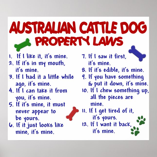 AUSTRALISK NÖTKREATUR HUND PL2 POSTER (Framsidan)