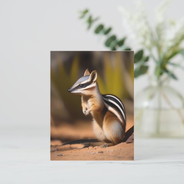 australisk numbat, vykort (Stående Fram)