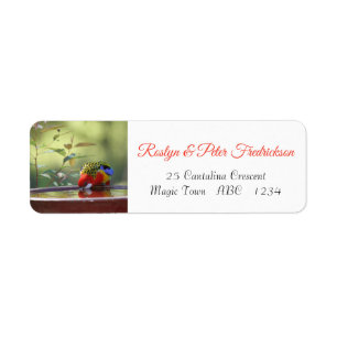 Australisk Östra Rosella Returadress Etikett