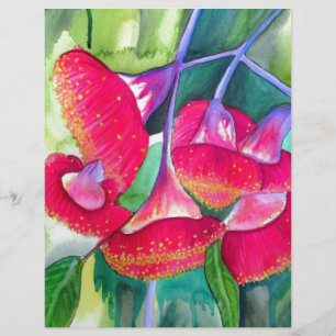 Australisk röd blommar gumnut vattencolor art