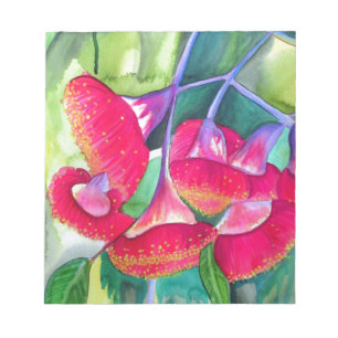 Australisk röd blommar gumnut vattencolor art anteckningsblock