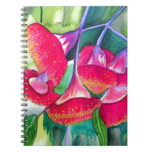 Australisk röd blommar gumnut vattencolor art anteckningsbok