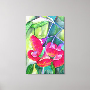 Australisk röd blommar Gumnut vattencolor art Canvastryck
