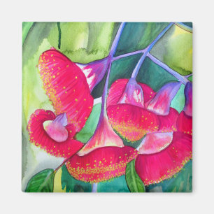 Australisk röd blommar Gumnut - vattenfärgskonst Magnet