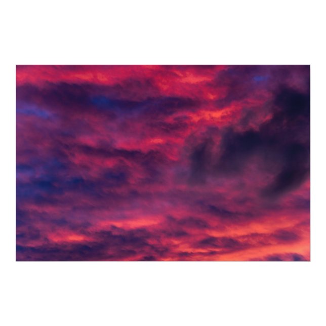 australisk röd fototryck (Framsidan)