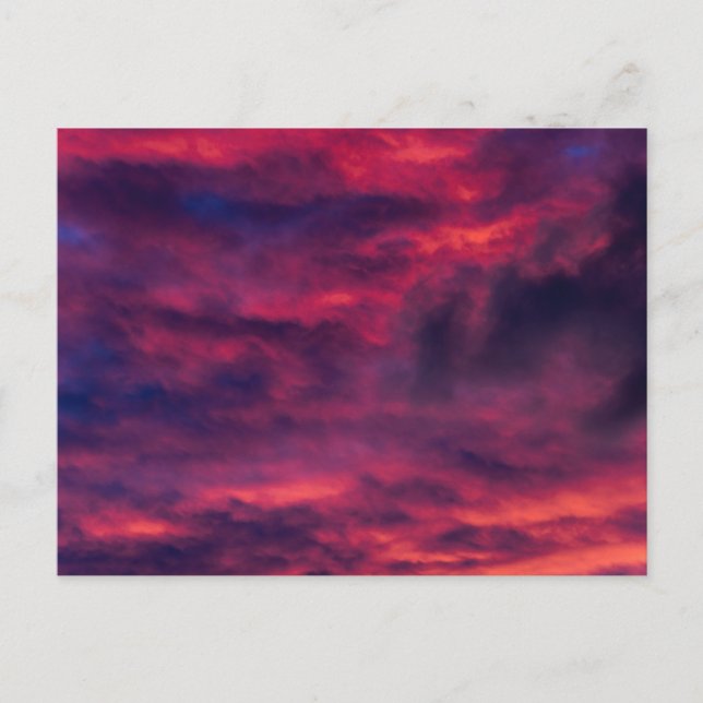 australisk röd helg vykort (Framsida)