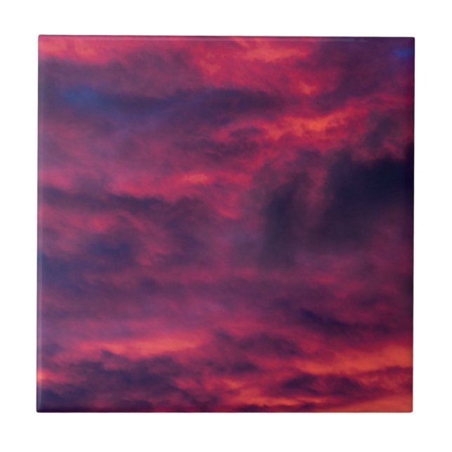 australisk röd kakelplatta (Framsidan)