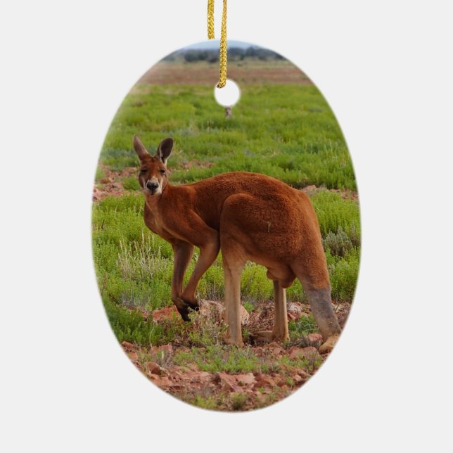 Australisk rödkangaroo ornament (Baksidan)