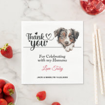 Australisk Shepherd Hund Bröllop Cocktail